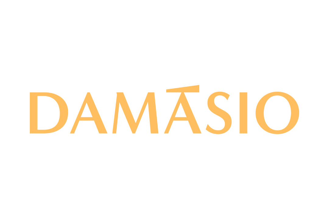 logo-damasio